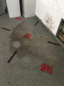 redkinservice-gebaeudereinigung-teppichpolster-2